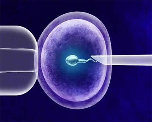 专业供卵机构电话_50万能找到助孕吗_Xi543_E5885_胎儿确诊有重型地贫一定要终止