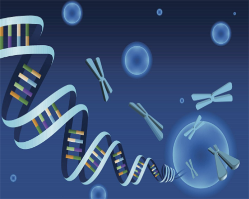 山东三代试管包生男孩价格是多少?山东包生男孩费用