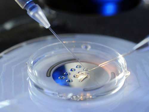 为什么年龄越大试管婴儿越难成功？先从子宫内膜说起！