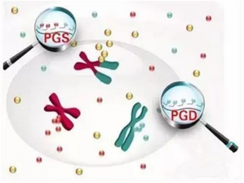 365助孕计划_代妈怎么样_wyXA6_au312_73218_准备500元给胎儿做地贫筛查够了吗?_Q7