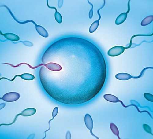 南昌供卵试管能成功吗_73750_医生建议临界风险患者做羊水穿刺是骗局吗？_Mcs