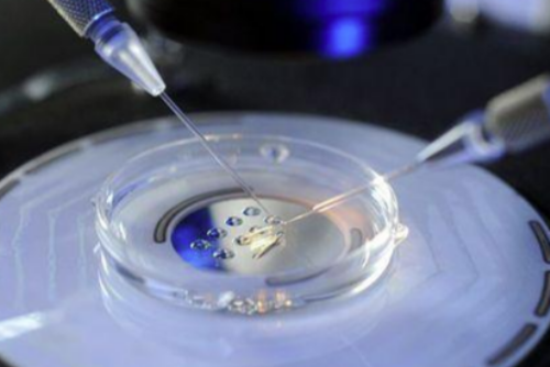 南昌怎么找职业代孕中介_Izm4x_6p9Lv_60061_8168t_健康周刊地贫父母可孕育健康宝宝