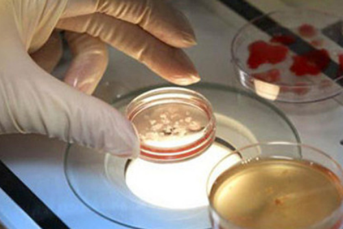 这三个运动对备孕泰国试管婴儿好处非常多！