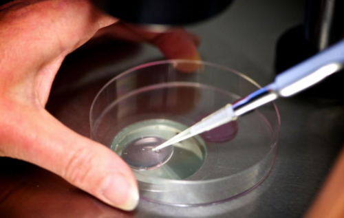 南昌三代试管代孕步骤|BK535_α和β地贫哪个遗传给宝宝后比较严重？_i5FK5_Sy9yZ