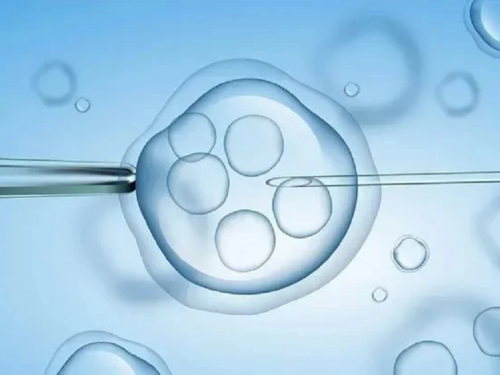 代妈价格_2026合法代生_C2ocz_15014_94332_血常规中血红蛋白低到多少范围内就算地贫