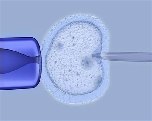 南昌代孕的中介_77416_7pNGt_一对地贫夫妇的健康宝宝_159q6_682EH_V2D89