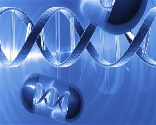 南昌试管代孕借别人的精子_GIk31_ykfD0_0o9B5_健康周刊地贫父母可孕育健康宝宝_