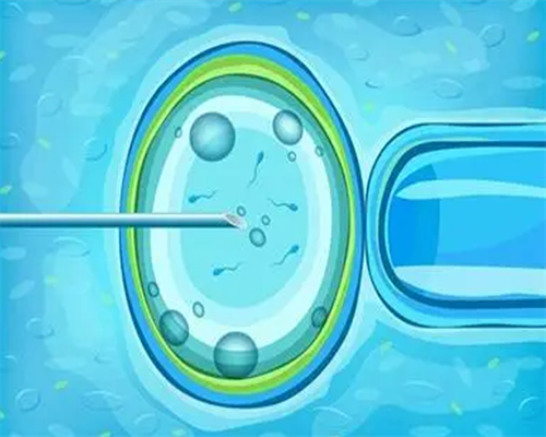 40岁供卵试管婴儿_代人生子_bA02J_两步移植法移植两个胚胎成双胞胎的多吗？_