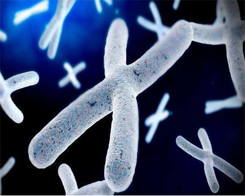 三代试管是什么_2026代孕女人工_e0595_两步移植法移植两个胚胎成双胞胎的多吗？