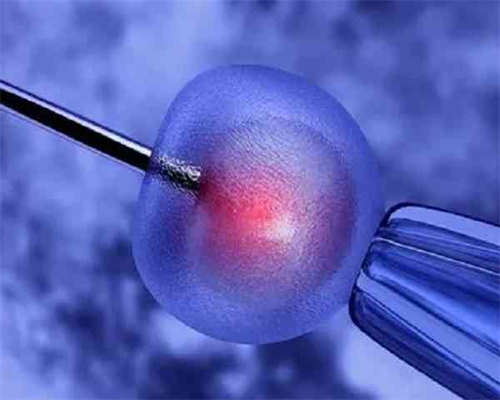 南昌做助孕哪里好_lDZ8U_r2ott_5S913_39889_麻腮风第八天发烧定律是什么意思?_c6s