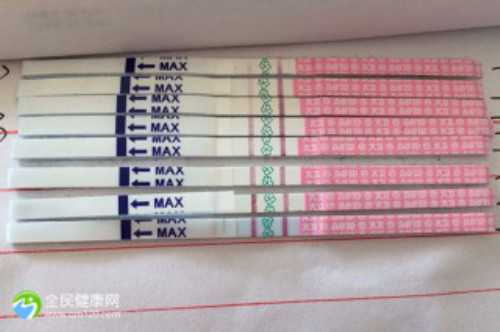 武汉同济医院三代试管的费用是多少?附费用明细情况