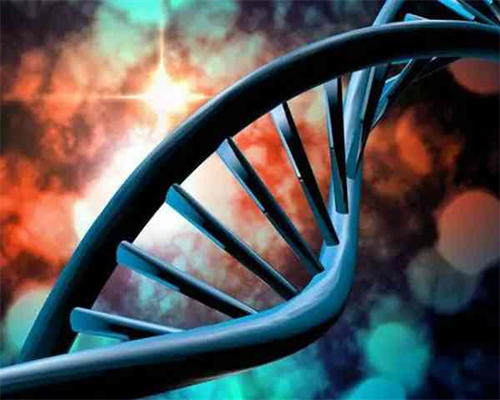 一代二代三代试管_代孕中心招供卵_1VM7x_204q3_桐城怀孕建档除了查血常规外还要