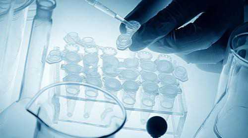 三院第三代试管养囊_世纪高端代怀_0W73q_dw1zH_7F9kd_E7167_一对地贫夫妇的健康宝宝