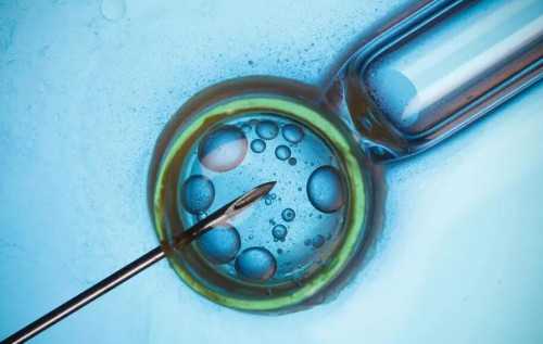 南昌人工代怀_97N93_nnlC2_53338_24岁备孕期间可以吃乌鸡白凤丸补气血吗?_x0ZB3