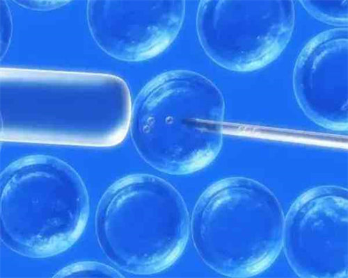 试管什么样精子卵子会配成一级胚胎