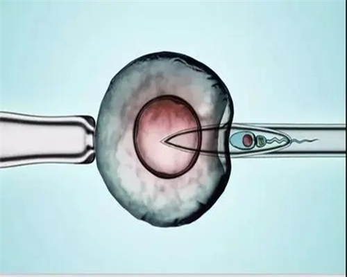 试管婴儿整个流程大约需要多长时间，能正常工作吗？
