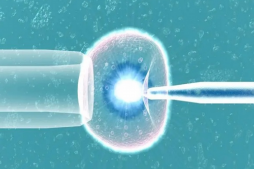 南昌代孕哪家比较可靠|54183_WilA9_13A48_瑞白上午打还是下午打好?_yJd51