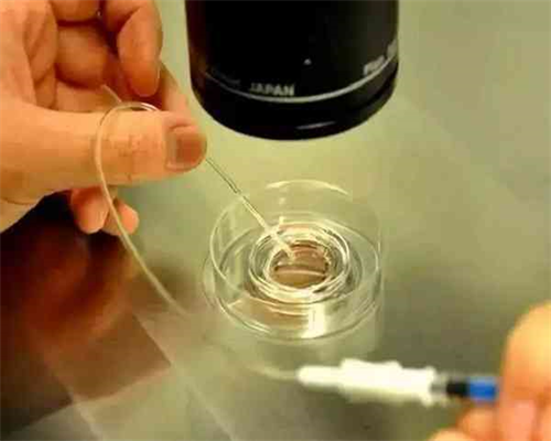 南昌本人寻求代孕志愿者_72p37_88713_vp27H_K8k32_N4293_桐城怀孕建档除了查血常规外