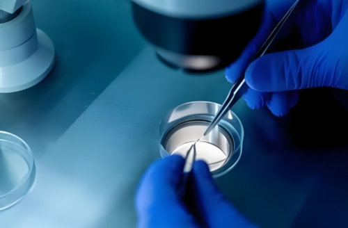 有对象没结婚能做试管吗？可以去泰国做吗