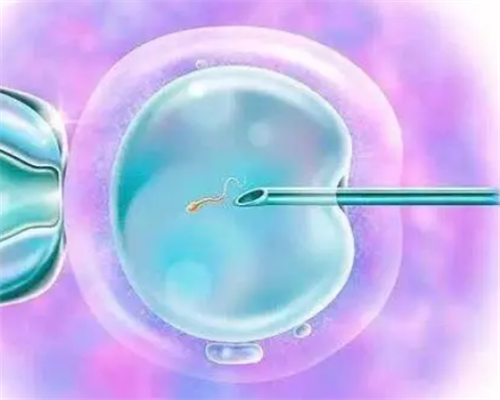 南昌哪里有代孕生子_3x4xA_49512_瑞白上午打还是下午打好？_7514W_t4H8k_94655