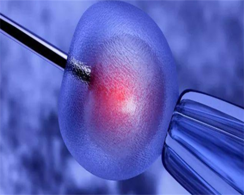 南昌试管代怀费用表_7196S_W0yml_准备500元给胎儿做地贫筛查够了吗？_48885_86823_