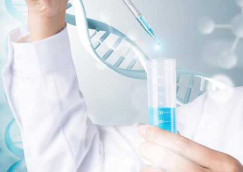 Rh阴性血型做试管婴儿,能阻断溶血症吗?