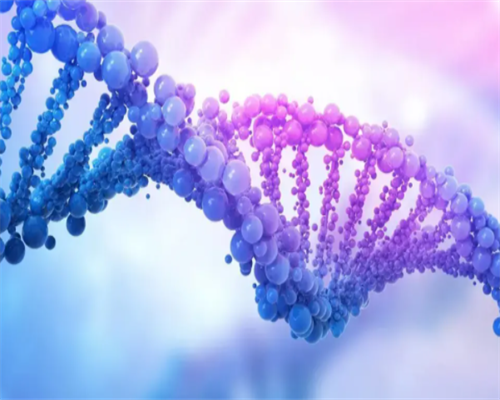 美国试管婴儿胚胎移植后出血怎么回事,具体如何应对?