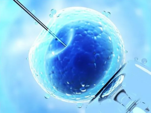 备孕知识之婚检项目的意义