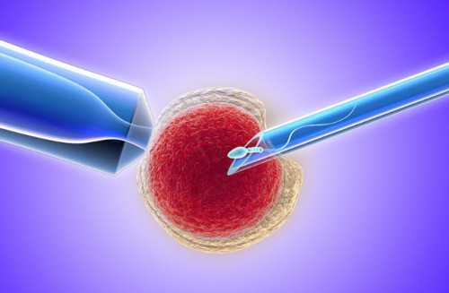 泰国试管婴儿囊胚移植，是不是内膜越厚越容易着床？