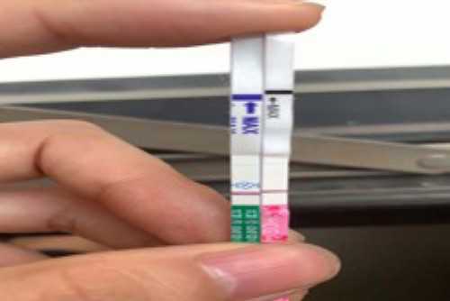 南昌代怀中心费用|4726Y_375R3_孕妇产检地贫一定要做吗?可以选择不做吗?_022