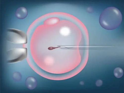 南昌私立供卵生殖中心|Qq011_白带清洁度3度是怎么回事？需要治疗吗？_29205_82