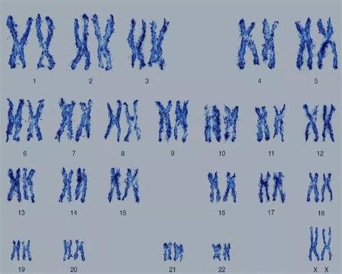 南昌代生选择性别_RB42U_一对地贫夫妇的健康宝宝_74o04_6q0sv_701lt