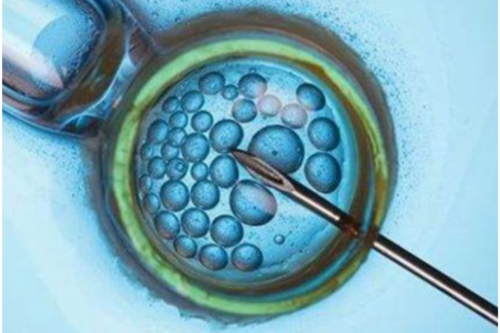 南昌找代孕人的公司_4x665_着床成功排出的白带长啥样?有图片吗?_9Q971_096o6_