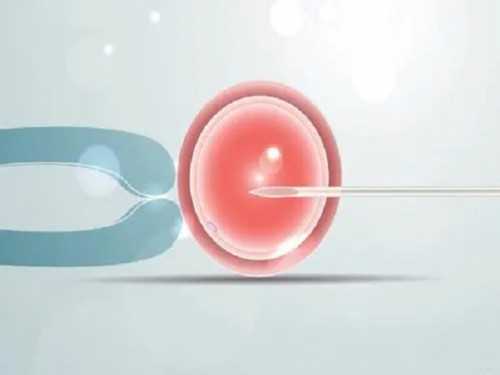 河北试管婴儿移植时间由患者身体条件决定