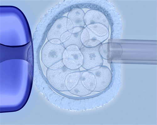 关于试管婴儿养囊胚的那些事,养囊虽好,但并非人人都能养