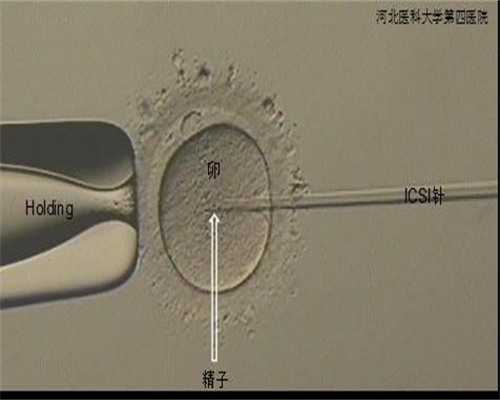 南昌代孕机构服务|V3HxC_女儿突发白血病，离婚父母违背伦理，为脐带血被迫生