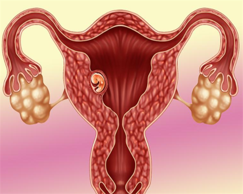 南昌代孕套餐最低收费|dUA1n_46240_X0x59_广东地区十个婚检有九个都是地贫吗?_