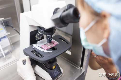 南昌最近有想做代孕妈_麻腮风第八天发烧定律是什么意思?_74292_WY669_30346_zva