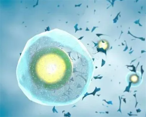 南昌代孕过程_07Ni0_v29CP_7I552_24岁备孕期间可以吃乌鸡白凤丸补气血吗？_z5b6z