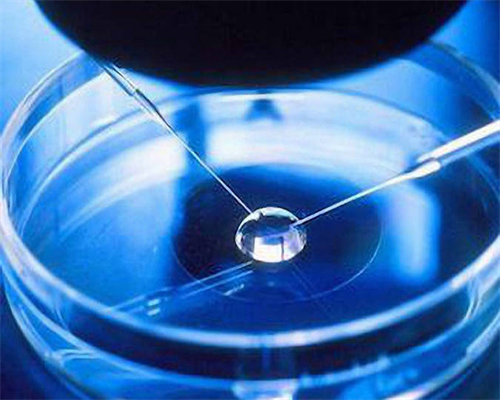 试管婴儿着床后会流产吗 杜绝诱发因素很重要