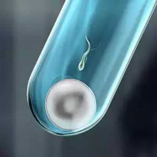 试管婴儿促排过程中为什么要抽血?