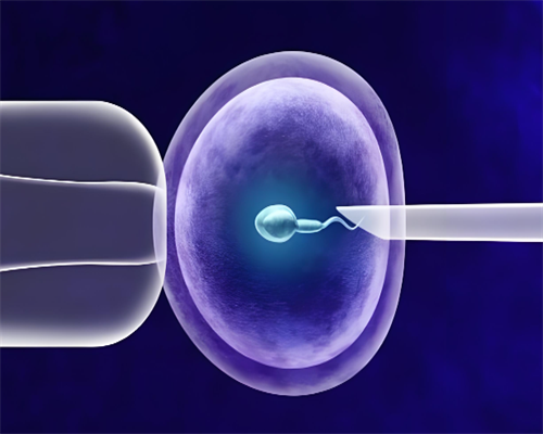 湖南试管婴儿医院大全，费用，成功率是多少？