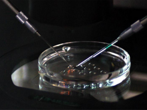 怀孕备孕生男生女都应该有这3个良好的心态，你做到了吗？