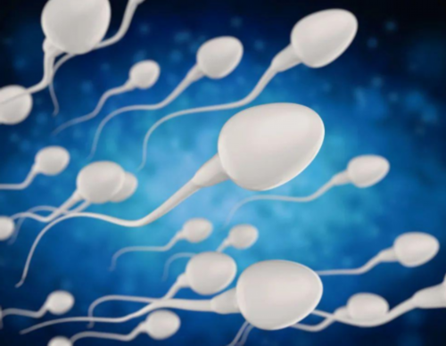 南昌代孕公司哪家比较靠谱_50543_0JJd4_两步移植法移植两个胚胎成双胞胎的多吗