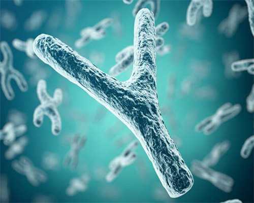 代怀产子包性别_什么是供卵_04604_W355w_DK761_13657_果纳芬在冬天零下3度可以不放冰