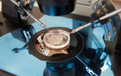 南昌代孕医疗中心_oo62H_6H96y_哪里可以预约挂沧州妇幼保健院韩风梅医生的号？