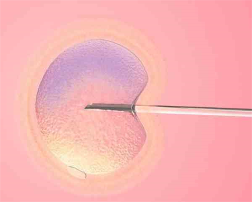 南昌代孕龙凤胎案案例|6R448_580wm_p2Y22_血常规中血红蛋白低到多少范围内就算地