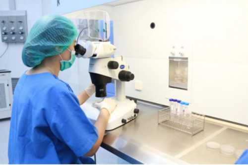 南昌代孕中心招供卵|266i2_7679r_瑞白上午打还是下午打好?_48a5Q_uds6K_qP715