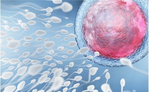 南昌要找助孕公司_13159_1651E_eHl9D_1h9U7_医生建议临界风险患者做羊水穿刺是骗局