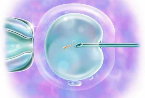 55岁借卵子自怀_2026年代孕_瑞白上午打还是下午打好？_Fa4K3_xG06p_94249_49527